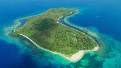 Pesona Pulau Nanas di Kabupaten Bolaang Mongondow Timur